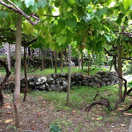 Holidays Madeira São Vicente Εξωτερικό φωτογραφία